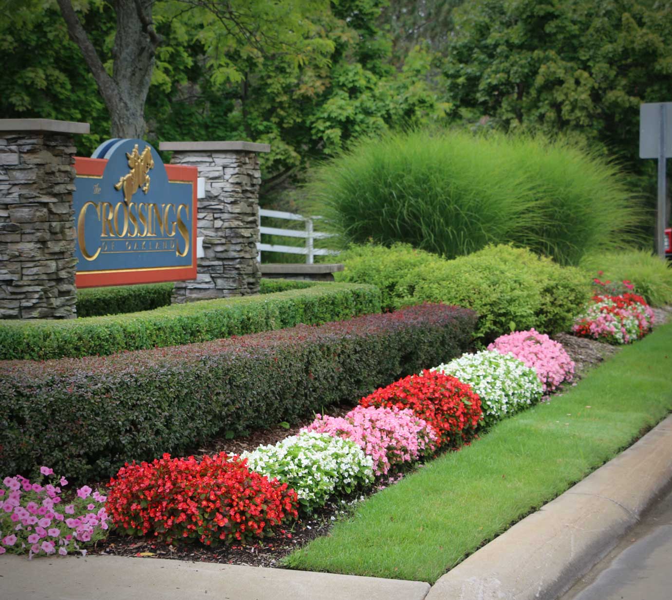 Annual Color Display Flowers and Plants | Newtown, PA