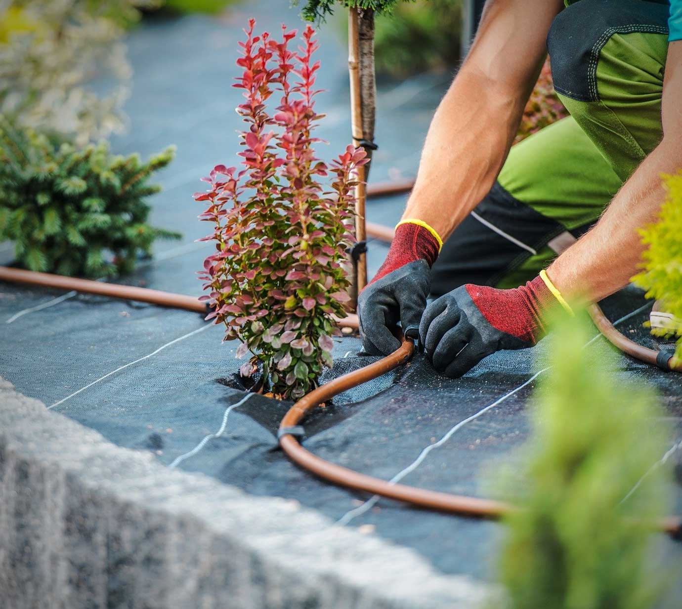 irrigation contractor