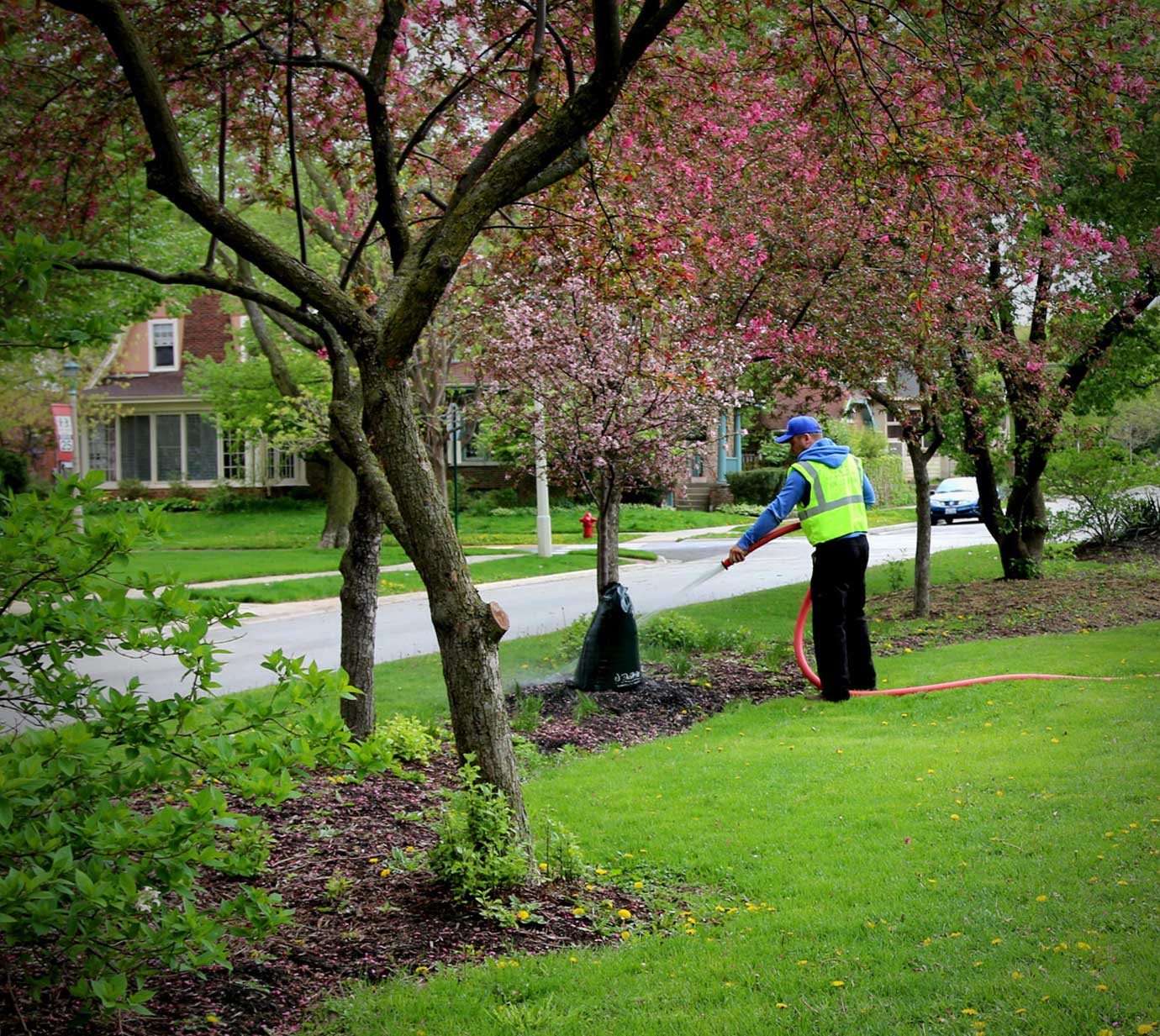 watering-services-newtown-pa3 Watering Services Bucks County, PA