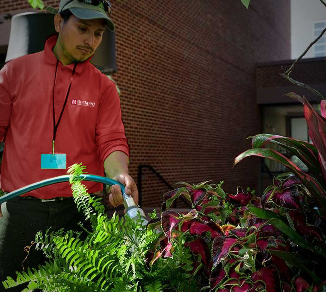 watering-services-newtown-pa4 Watering services in bucks county