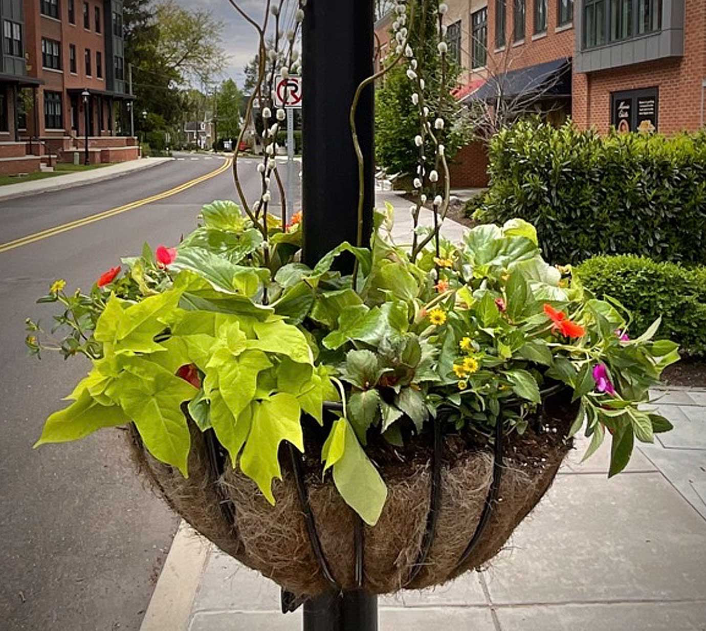 commercial municipal flower pots and rotations