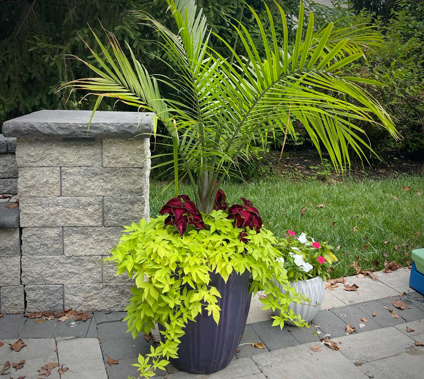 seasonal pots and rotation flowers for commercial businesses